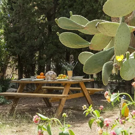 Villas Los Leones Holiday home *